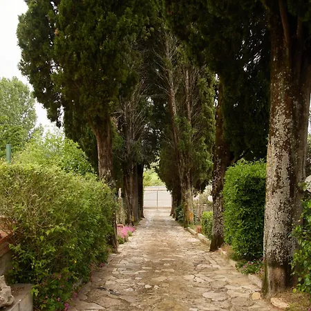 A Casa Dila-montepulciano House شقة